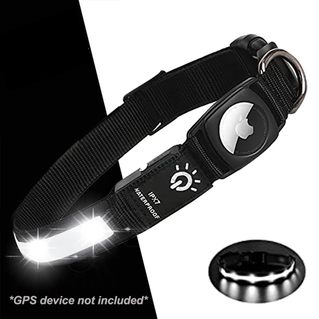 GPS Dog Collar with LED Light