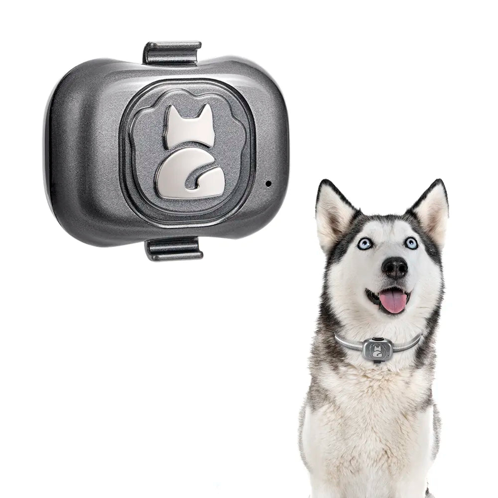 Pet 4G GPS Dog Tracker Waterproof Anti-Lost Smart Finder