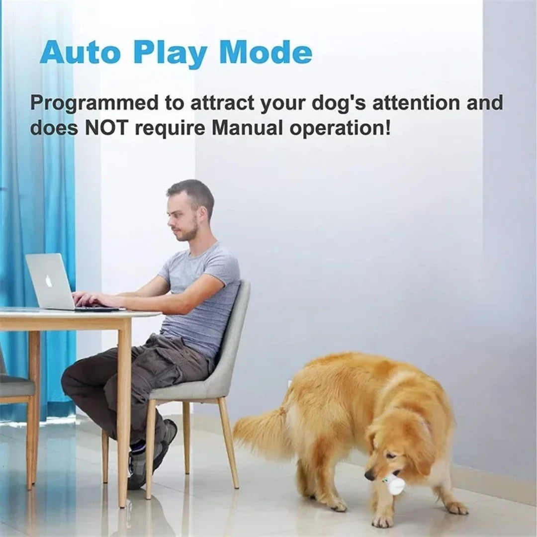 PetAffairs Smart Automatic Bone Toys for Pet